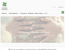 Tablet Screenshot of fondoaccion.org